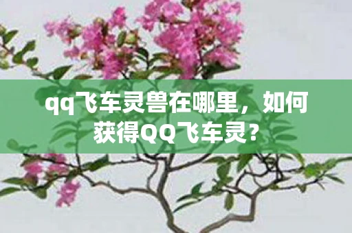 qq飞车灵兽在哪里，如何获得QQ飞车灵？
