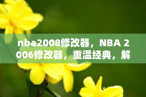 nba2008修改器，NBA 2006修改器，重温经典，解锁无限可能