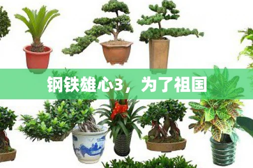 钢铁雄心3，为了祖国