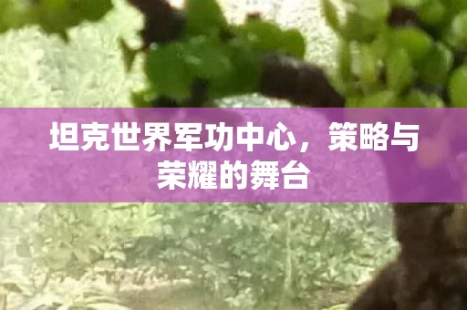 坦克世界军功中心图片
