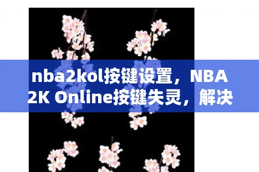 nba2kol按键设置，NBA2K Online按键失灵，解决之道与玩家心声