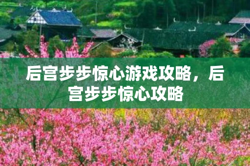 后宫步步惊心游戏攻略，后宫步步惊心攻略