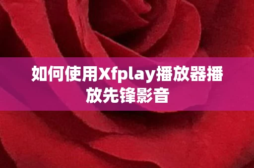 如何使用Xfplay播放器播放先锋影音图片