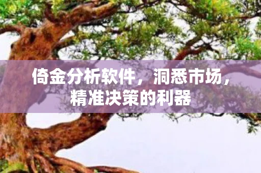 倚金分析软件，洞悉市场，精准决策的利器