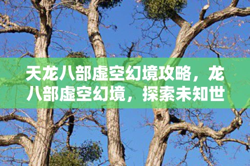 天龙八部虚空幻境攻略，龙八部虚空幻境，探索未知世界的奇幻之旅