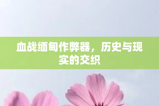 血战缅甸作弊器，历史与现实的交织