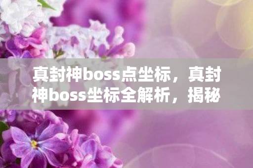真封神boss点坐标，真封神boss坐标全解析，揭秘游戏中的隐藏宝藏