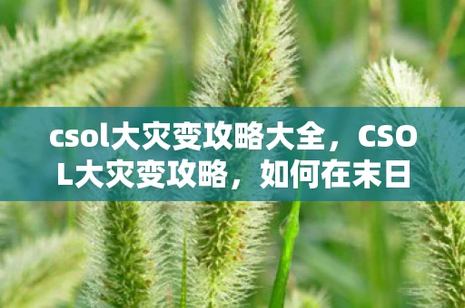 csol大灾变攻略大全，CSOL大灾变攻略，如何在末日世界中生存