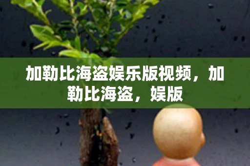 加勒比海盗娱乐版视频，加勒比海盗，娱版