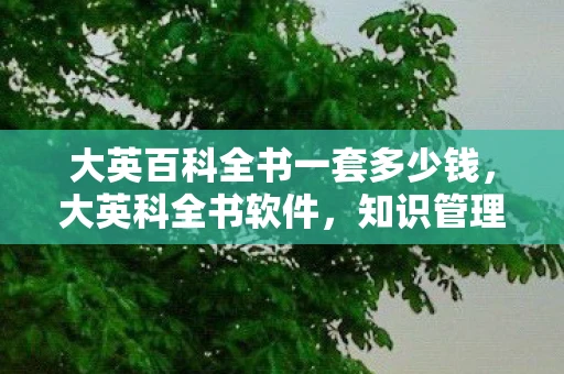 大英百科全书一套多少钱，大英科全书软件，知识管理的数字化革命
