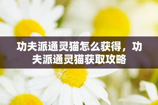 功夫派通灵猫怎么获得，功夫派通灵猫获取攻略