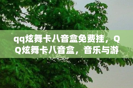 qq炫舞卡八音盒免费挂，QQ炫舞卡八音盒，音乐与游戏的完美融合