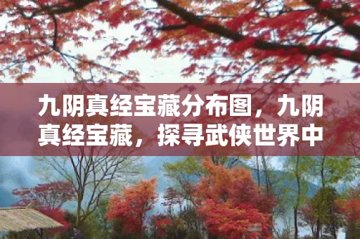 九阴真经宝藏分布图，九阴真经宝藏，探寻武侠世界中的神秘财富