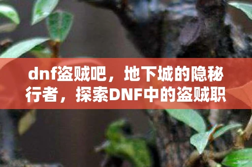 dnf盗贼吧，地下城的隐秘行者，探索DNF中的盗贼职业