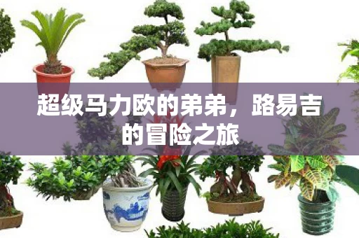 超级马力欧的弟弟图片