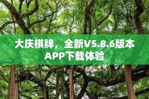 6版本APP下载体验图片