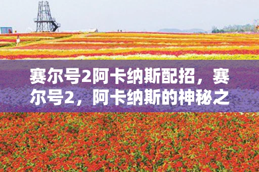 赛尔号2阿卡纳斯配招，赛尔号2，阿卡纳斯的神秘之旅