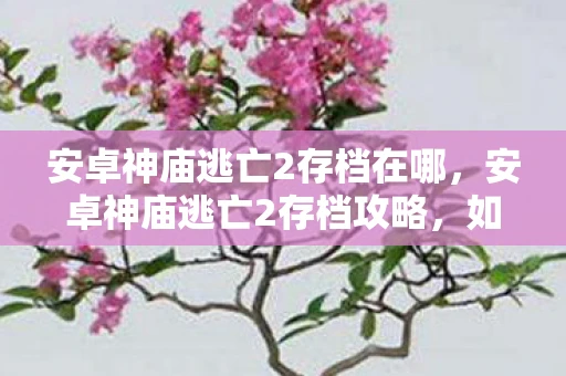 安卓神庙逃亡2存档在哪，安卓神庙逃亡2存档攻略，如何备份与恢复游戏进度