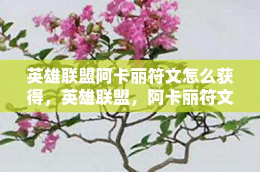 英雄联盟阿卡丽符文怎么获得，英雄联盟，阿卡丽符文选择与搭配指南