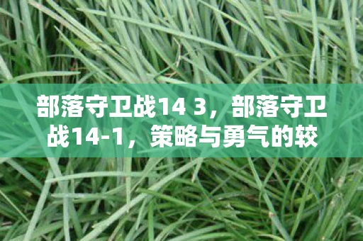 部落守卫战14 3，部落守卫战14-1，策略与勇气的较量
