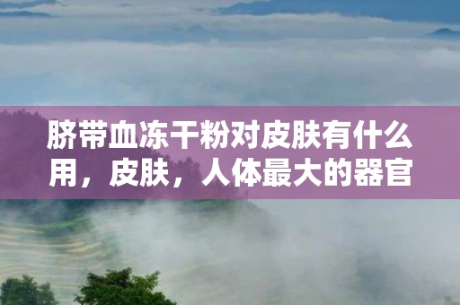 脐带血冻干粉对皮肤有什么用，皮肤，人体最大的器官，多功能的保护伞