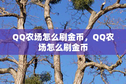 QQ农场怎么刷金币，QQ农场怎么刷金币