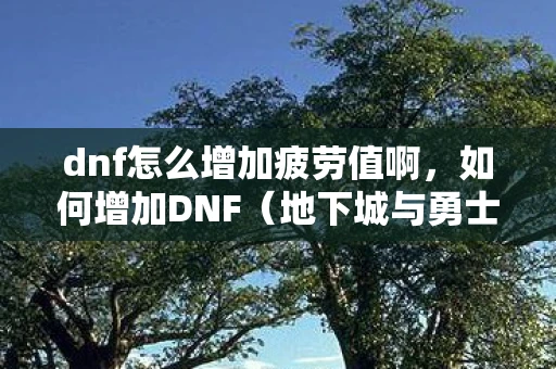 dnf怎么增加疲劳值啊，如何增加DNF（地下城与勇士）的疲劳值