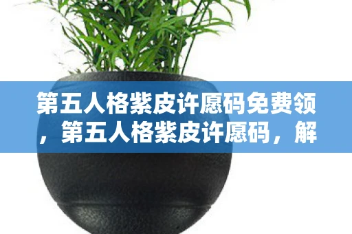 第五人格紫皮许愿码免费领，第五人格紫皮许愿码，解锁稀有皮肤的神秘钥匙