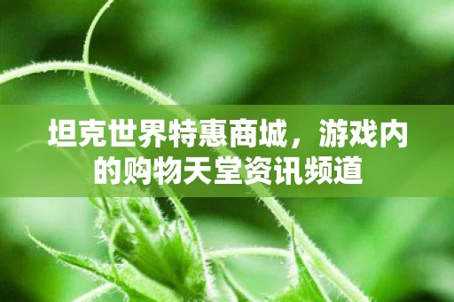 游戏内的购物天堂资讯频道图片