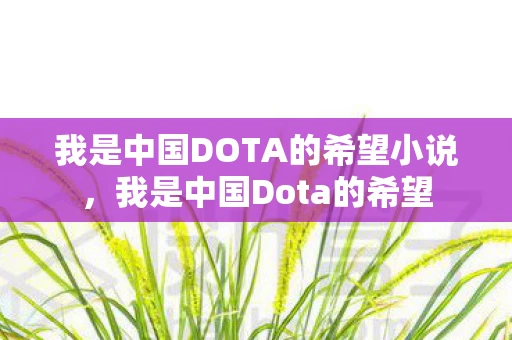 我是中国DOTA的希望小说，我是中国Dota的希望