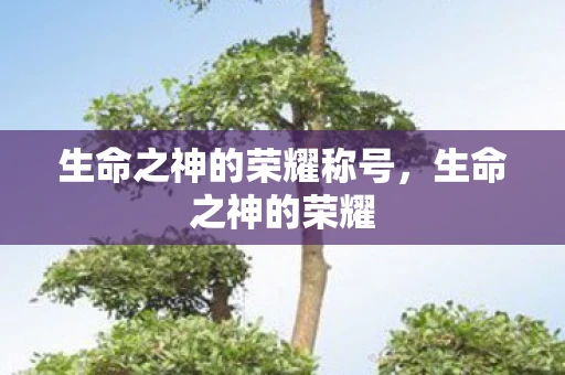 生命之神的荣耀称号，生命之神的荣耀