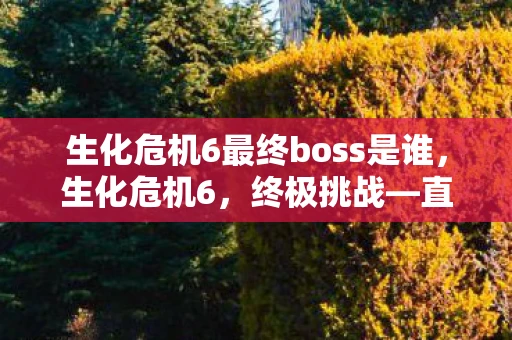 生化危机6最终boss是谁，生化危机6，终极挑战—直面最终Boss的惊险之旅