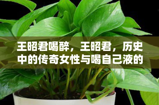 王昭君喝醉，王昭君，历史中的传奇女性与喝自己液的荒谬传说