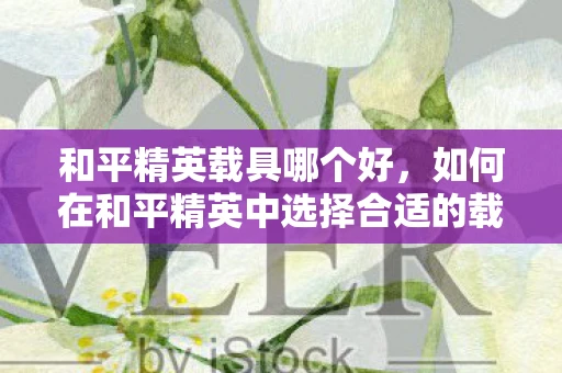 和平精英载具哪个好，如何在和平精英中选择合适的载具