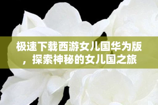 极速下载西游女儿国华为版图片