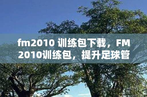 fm2010 训练包下载，FM2010训练包，提升足球管理技能的神器