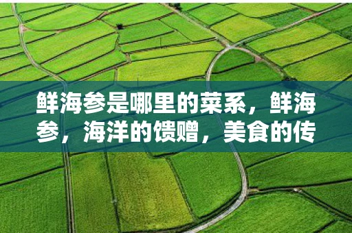 鲜海参是哪里的菜系，鲜海参，海洋的馈赠，美食的传奇