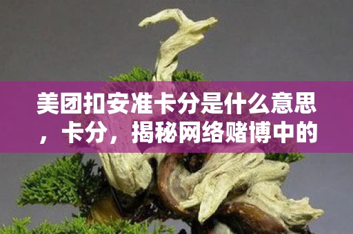 美团扣安准卡分是什么意思，卡分，揭秘网络赌博中的灰色地带