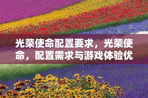 光荣使命配置要求，光荣使命，配置需求与游戏体验优化指南