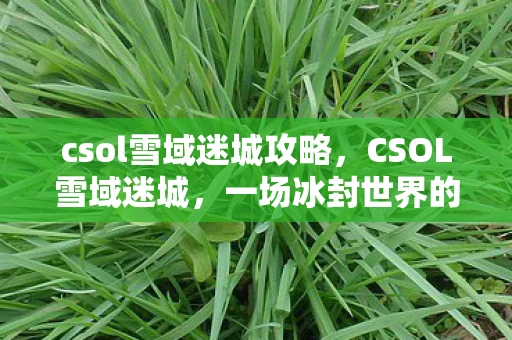 csol雪域迷城攻略，CSOL雪域迷城，一场冰封世界的冒险之旅