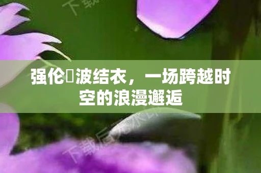 强伦姧波结衣，一场跨越时空的浪漫邂逅