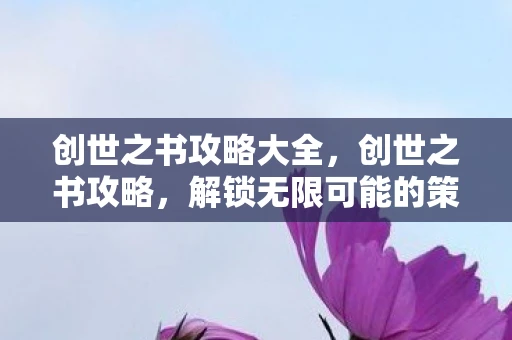 创世之书攻略大全，创世之书攻略，解锁无限可能的策略指南