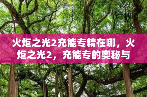 火炬之光2充能专精在哪，火炬之光2，充能专的奥秘与实战应用