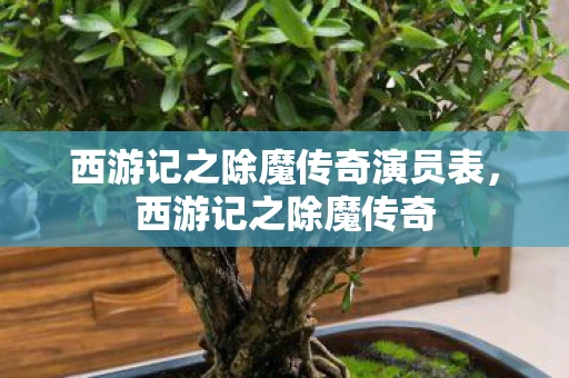 西游记之除魔传奇演员表，西游记之除魔传奇