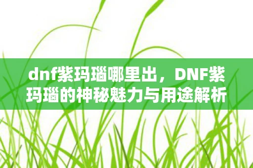 dnf紫玛瑙哪里出，DNF紫玛瑙的神秘魅力与用途解析