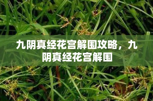 九阴真经花宫解围攻略，九阴真经花宫解围