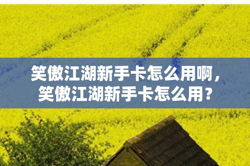 笑傲江湖新手卡怎么用啊，笑傲江湖新手卡怎么用？