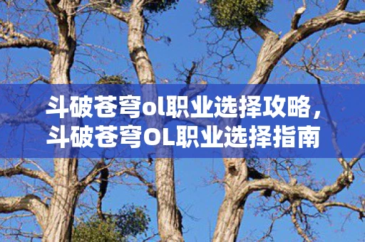 斗破苍穹ol职业选择攻略，斗破苍穹OL职业选择指南，探索属于你的斗气之旅