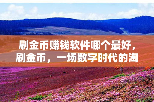 刷金币赚钱软件哪个最好，刷金币，一场数字时代的淘金游戏