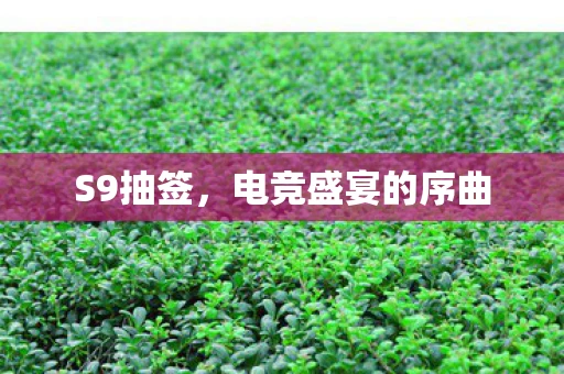 S9抽签，电竞盛宴的序曲